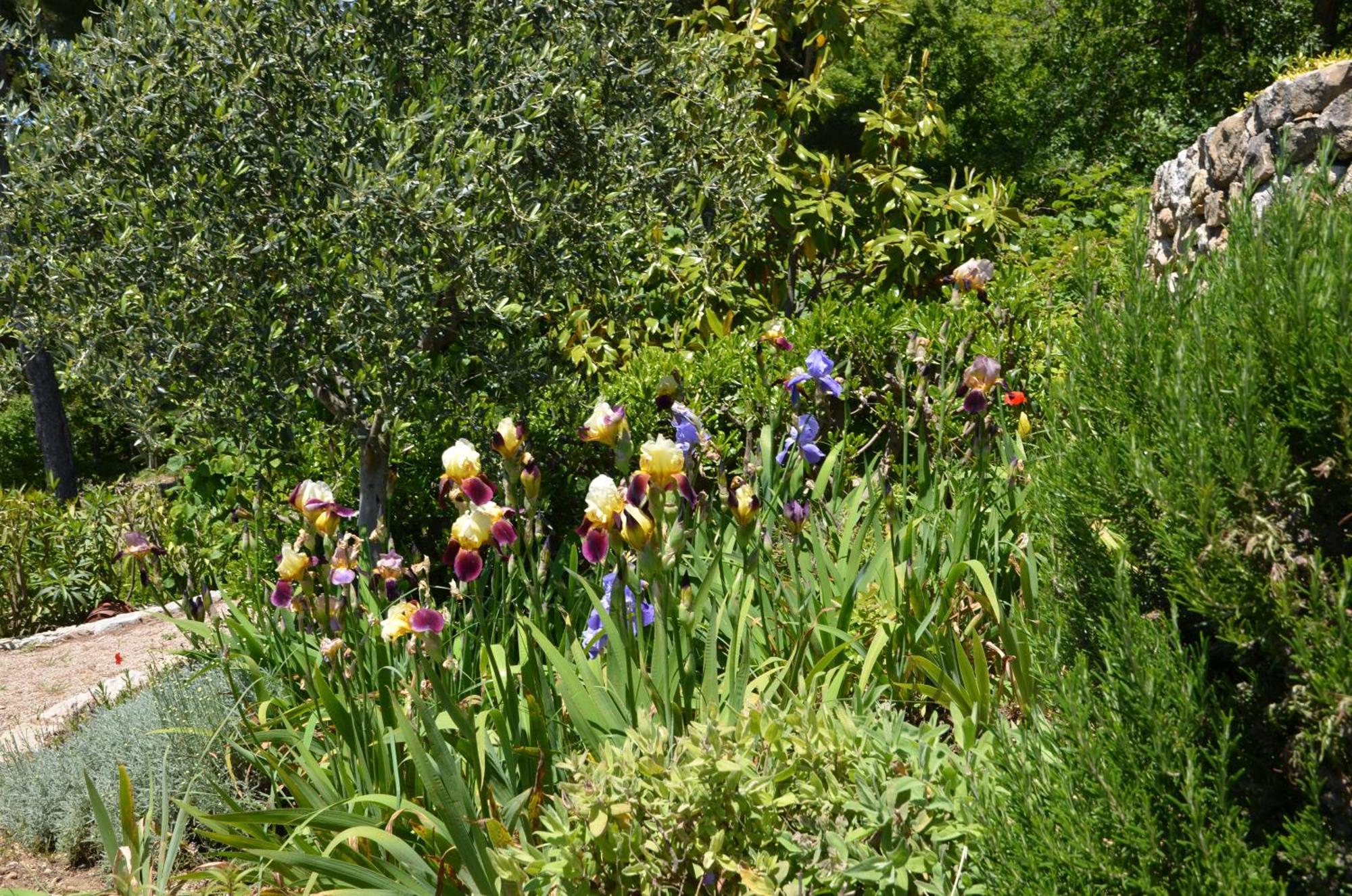 La Bastide Des Pins Bed & Breakfast ว็องส์ ภายนอก รูปภาพ
