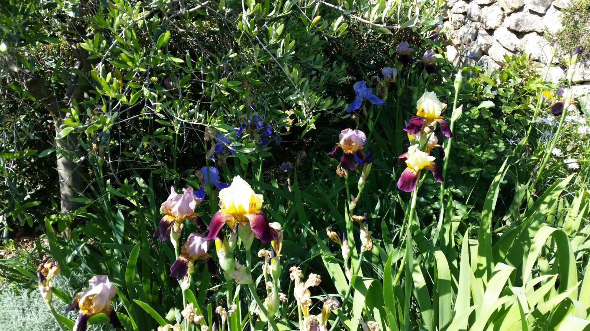La Bastide Des Pins Bed & Breakfast ว็องส์ ภายนอก รูปภาพ